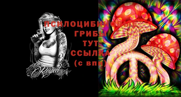 стафф Абаза