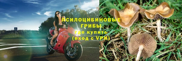 стафф Абаза