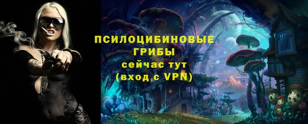 стафф Абаза