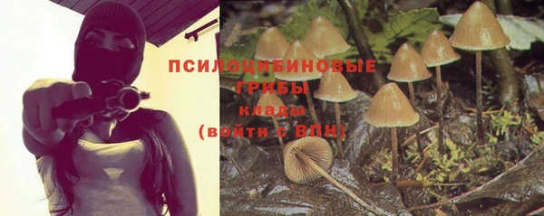 прущая мука Абинск